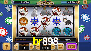 br898,br898.com